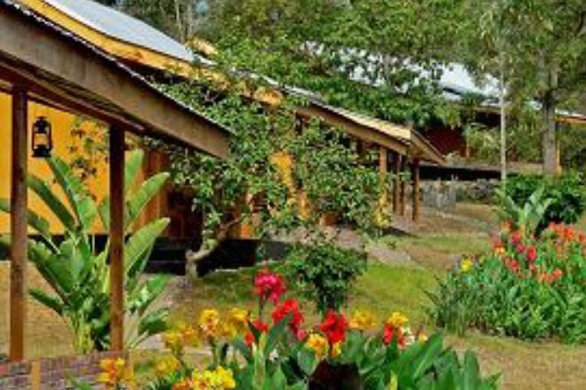 Flowering beds along the lodge veranda